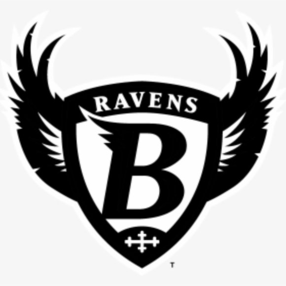 NFL Football Baltimore Ravens Logo Vinyl Decal sticker 5" - Picture 5 of 9